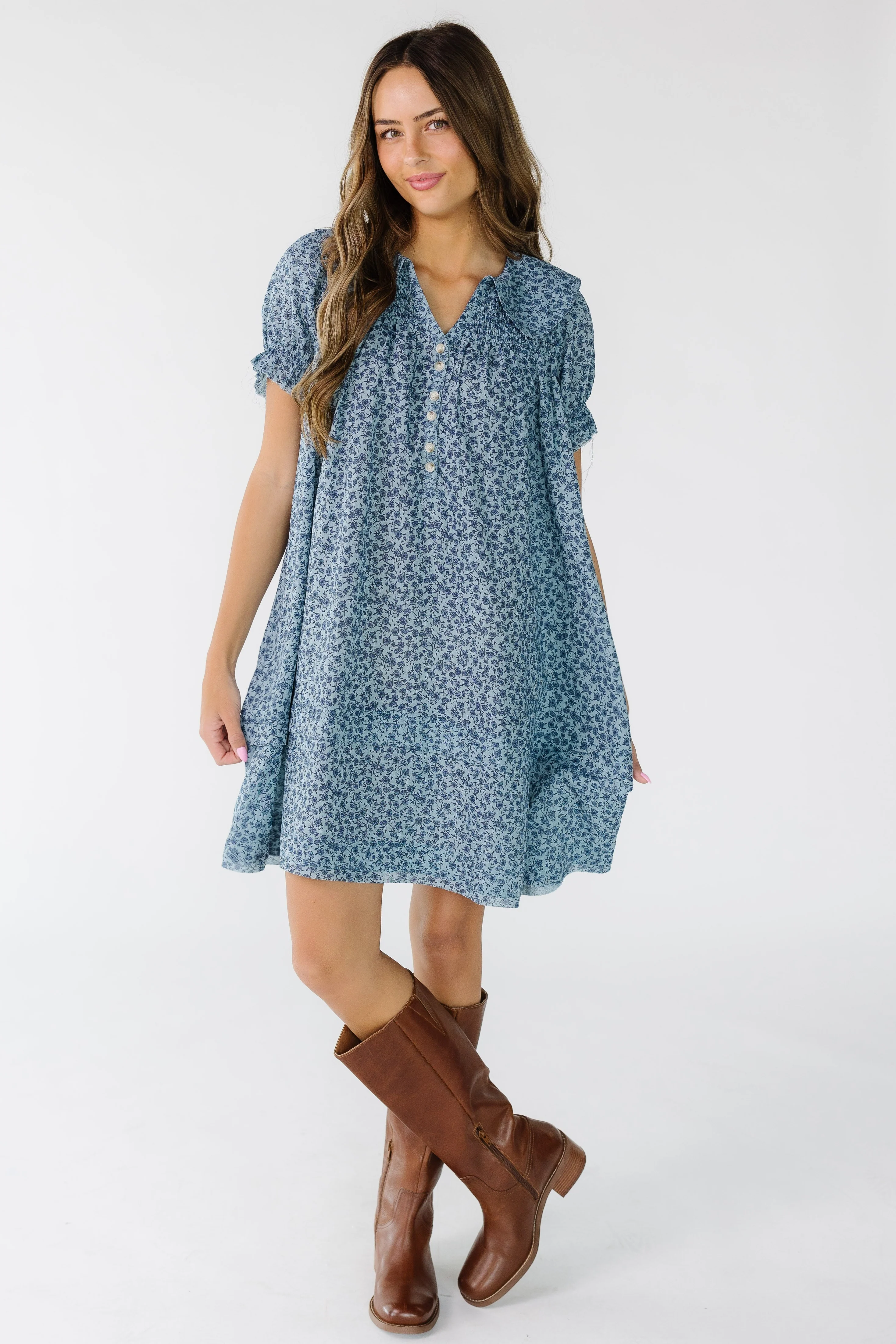 Brass & Roe Collared Knee Dress