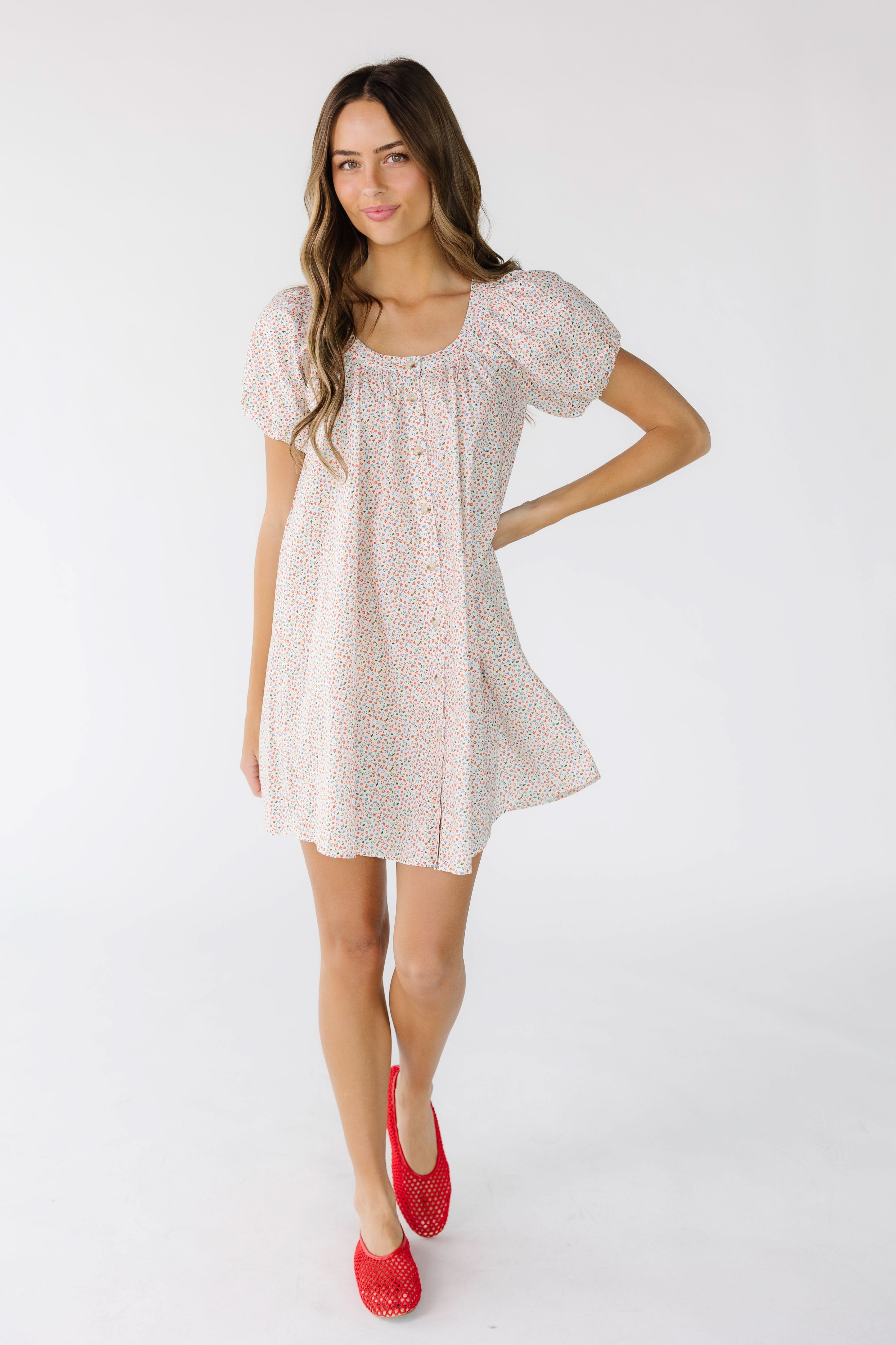 Brass & Roe Ellie Print Knee Dress