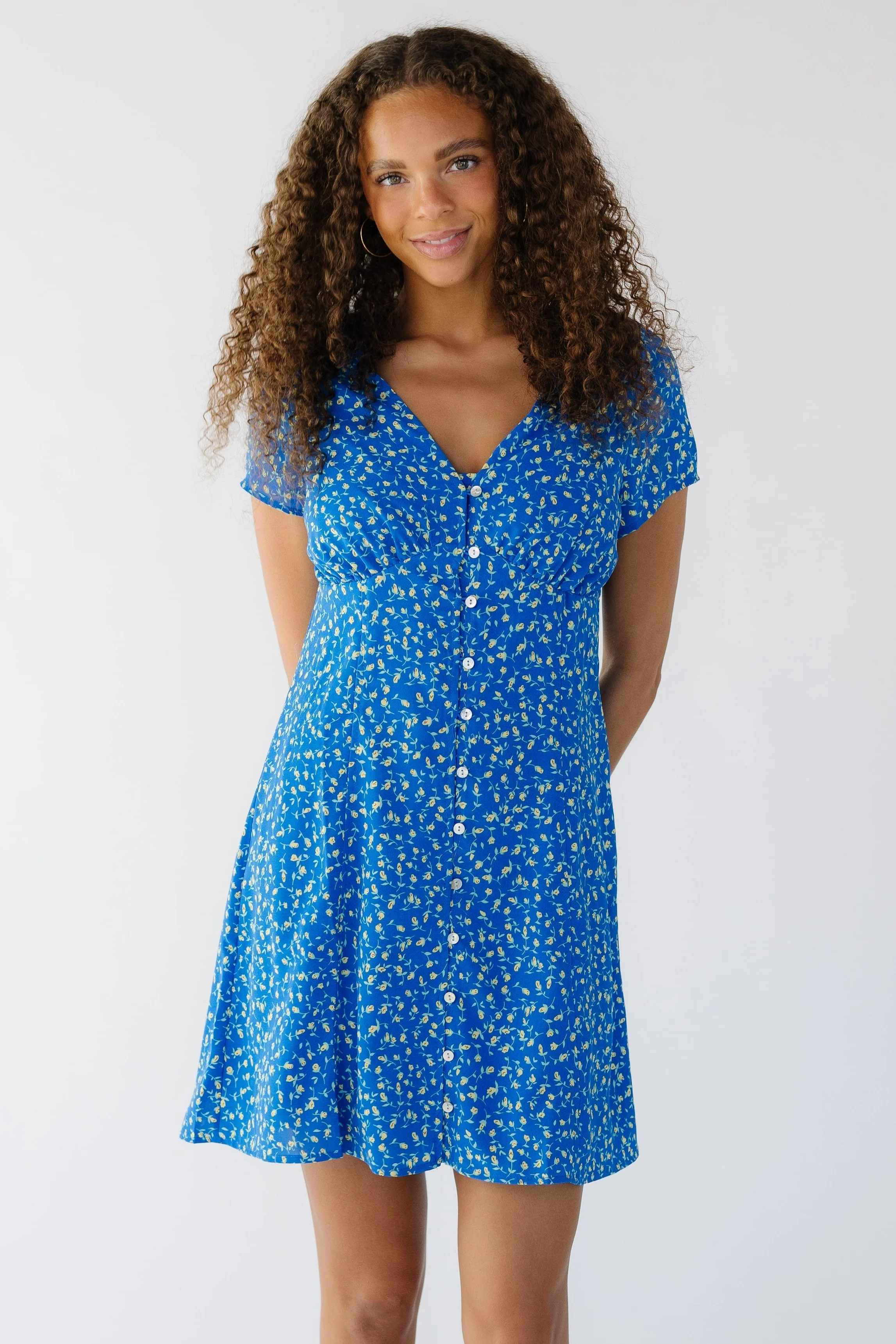 Brass & Roe Haddie Knee Dress